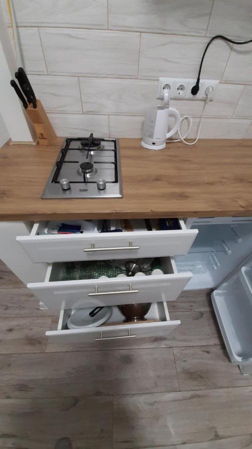 Transfer Apartament І.Franka 59 Lviv Dış mekan fotoğraf
